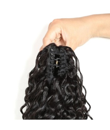 Coda di cavallo nera coda di cavallo con pinze naturali Remy Hair Deep Wave la livraison gratuite