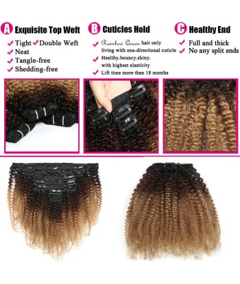 Kit Extensions à Clips Afro Curly Ombre Brun Chocolat Blond 120 gr Jusqu'à 80% De Réduction